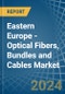 Eastern Europe - Optical Fibers, Bundles and Cables - Market Analysis, Forecast, Size, Trends and Insights. Update: COVID-19 Impact - Product Thumbnail Image