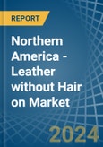 Northern America - Leather without Hair on (Including Sheep, Lamb, Goat or Kid Skin Leather) - Market Analysis, Forecast, Size, Trends and Insights. Update: COVID-19 Impact- Product Image
