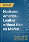 Northern America - Leather without Hair on (Including Sheep, Lamb, Goat or Kid Skin Leather) - Market Analysis, Forecast, Size, Trends and Insights. Update: COVID-19 Impact - Product Thumbnail Image