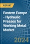 Eastern Europe - Hydraulic Presses for Working Metal - Market Analysis, forecast, Size, Trends and Insights. Update: COVID-19 Impact - Product Image