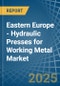 Eastern Europe - Hydraulic Presses for Working Metal - Market Analysis, forecast, Size, Trends and Insights. Update: COVID-19 Impact - Product Image