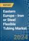 Eastern Europe - Iron or Steel Flexible Tubing - Market Analysis, Forecast, Size, Trends and Insights. Update: COVID-19 Impact - Product Thumbnail Image