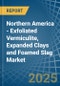 Northern America - Exfoliated Vermiculite, Expanded Clays and Foamed Slag - Market Analysis, Forecast, Size, Trends and Insights. Update: COVID-19 Impact - Product Image