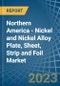 Northern America - Nickel and Nickel Alloy Plate, Sheet, Strip and Foil - Market Analysis, Forecast, Size, Trends and Insights. Update: COVID-19 Impact - Product Thumbnail Image
