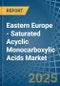 Eastern Europe - Saturated Acyclic Monocarboxylic Acids - Market Analysis, Forecast, Size, Trends and Insights. Update: COVID-19 Impact - Product Image