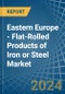 Eastern Europe - Flat-Rolled Products of Iron or Steel (Not Further Worked than Cold-Rolled) - Market Analysis, Forecast, Size, Trends and Insights. Update: COVID-19 Impact - Product Image