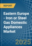 Eastern Europe - Iron or Steel Gas Domestic Appliances - Market Analysis, Forecast, Size, Trends and Insights. Update: COVID-19 Impact- Product Image