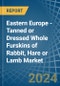 Eastern Europe - Tanned or Dressed Whole Furskins of Rabbit, Hare or Lamb - Market Analysis, Forecast, Size, Trends and Insights. Update: COVID-19 Impact - Product Image
