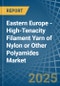 Eastern Europe - High-Tenacity Filament Yarn of Nylon or Other Polyamides - Market Analysis, Forecast, Size, Trends and Insights. Update: COVID-19 Impact - Product Image