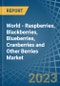 World - Raspberries, Blackberries, Blueberries, Cranberries and Other Berries - Market Analysis, Forecast, Size, Trends and Insights. Update: COVID-19 Impact - Product Image