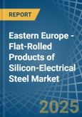 Eastern Europe - Flat-Rolled Products of Silicon-Electrical Steel - Market Analysis, Forecast, Size, Trends and Insights. Update: COVID-19 Impact- Product Image