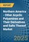 Northern America - Other Acyclic Polyamines and Their Derivatives and Salts Thereof - Market Analysis, Forecast, Size, Trends and Insights. Update: COVID-19 Impact - Product Thumbnail Image