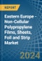 Eastern Europe - Non-Cellular Polypropylene Films, Sheets, Foil and Strip - Market Analysis, Forecast, Size, Trends and Insights. Update: COVID-19 Impact - Product Image