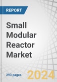 Small Modular Reactor Market by Reactor (HWR, LWR, HTR, FNR, MSR), Application (Power Generation, Desalination, Hydrogen Generation, Industrial), Deployment (Single, Multi), Connectivity, Location, Coolant, Power Rating & Region - Global Forecast to 2030- Product Image