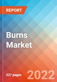 Burns - Market Insight, Epidemiology and Market Forecast - 2032- Product Image