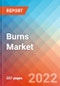 Burns - Market Insight, Epidemiology and Market Forecast - 2032 - Product Thumbnail Image