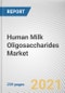 Human Milk Oligosaccharides Market by Type, Application and Distribution Channel: Global Opportunity Analysis and Industry Forecast 2021-2028 - Product Image