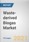 Waste-derived Biogas Market by Source and Application: Global Opportunity Analysis and Industry Forecast, 2021-2030 - Product Image