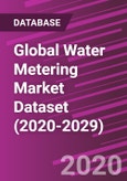 Global Water Metering Market Dataset (2020-2029)- Product Image