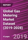 Global Gas Metering Market Dataset (2019-2028)- Product Image