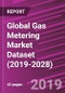 Global Gas Metering Market Dataset (2019-2028) - Product Thumbnail Image