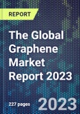 The Global Graphene Market Report 2023- Product Image