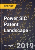 Power SiC Patent Landscape- Product Image