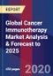 Global Cancer Immunotherapy Market Analysis & Forecast to 2025 - Product Thumbnail Image