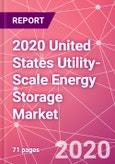 2020 United States Utility-Scale Energy Storage Market- Product Image