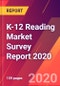K-12 Reading Market Survey Report 2020 - Product Thumbnail Image