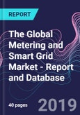 The Global Metering and Smart Grid Market - Report and Database- Product Image