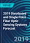 2019 Distributed and Single Point Fiber Optic Sensing Systems Forecast - Product Thumbnail Image