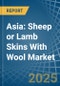 Asia: Sheep or Lamb Skins With Wool - Market Report. Analysis and Forecast To 2025 - Product Thumbnail Image