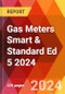 Gas Meters Smart & Standard Ed 5 2024 - Product Image
