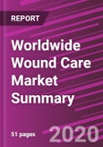 Worldwide Wound Care Market Summary- Product Image