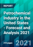 Petrochemical Industry in the United States - Forecast and Analysis 2021- Product Image