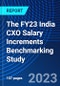 The FY23 India CXO Salary Increments Benchmarking Study - Product Image