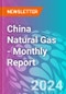 China Natural Gas - Monthly Report - Product Image