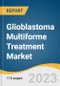 Glioblastoma Multiforme Treatment Market Size, Share & Trends Analysis Report By Treatment (Radiation Therapy, Immunotherapy), By Drug Class, By End Use, By Region, And Segment Forecasts, 2021 - 2028 - Product Image