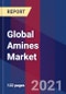 Global Amines Market Size By Type, By Application, By Geographic Scope And Forecast - Product Thumbnail Image