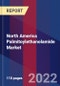 North America Palmitoylethanolamide Market Size By Type, By Regional Analysis And Forecast - Product Thumbnail Image