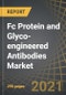 Fc Protein and Glyco-engineered Antibodies Market: Focus on Type of Fc Engineering and Therapeutics (3rd edition), 2021-2030 - Product Image