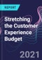 Stretching the Customer Experience Budget - Product Image