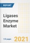 Ligases Enzyme Market Growth Analysis and Insights, 2021: Trends, Market Size, Share Outlook and Opportunities by Type, Application, End Users, Countries and Companies to 2028 - Product Thumbnail Image