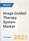 Image Guided Therapy System Market Growth Analysis and Insights, 2021: Trends, Market Size, Share Outlook and Opportunities by Type, Application, End Users, Countries and Companies to 2028 - Product Thumbnail Image