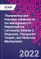 Theranostics and Precision Medicine for the Management of Hepatocellular Carcinoma, Volume 2. Diagnosis, Therapeutic Targets, and Molecular Mechanisms - Product Thumbnail Image