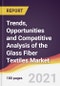 Trends, Opportunities and Competitive Analysis of the Glass Fiber Textiles Market - Product Image