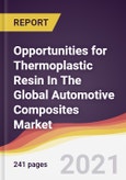 Opportunities for Thermoplastic Resin In The Global Automotive Composites Market: Growth Trends, Forecast and Competitive Analysis- Product Image