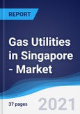 Gas Utilities in Singapore - Market Summary, Competitive Analysis and Forecast to 2025- Product Image