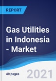 Gas Utilities in Indonesia - Market Summary, Competitive Analysis and Forecast to 2025- Product Image